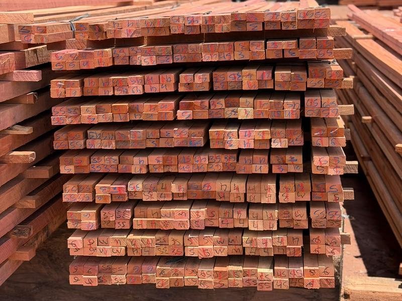 Cupiúba serrada, numerada peça a peça