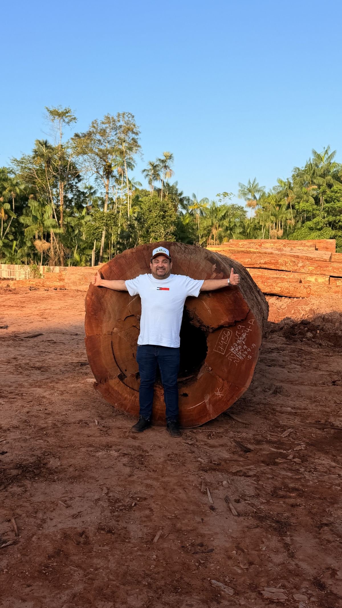 Pessoa ao lado de uma tora, mostrando o tamanho